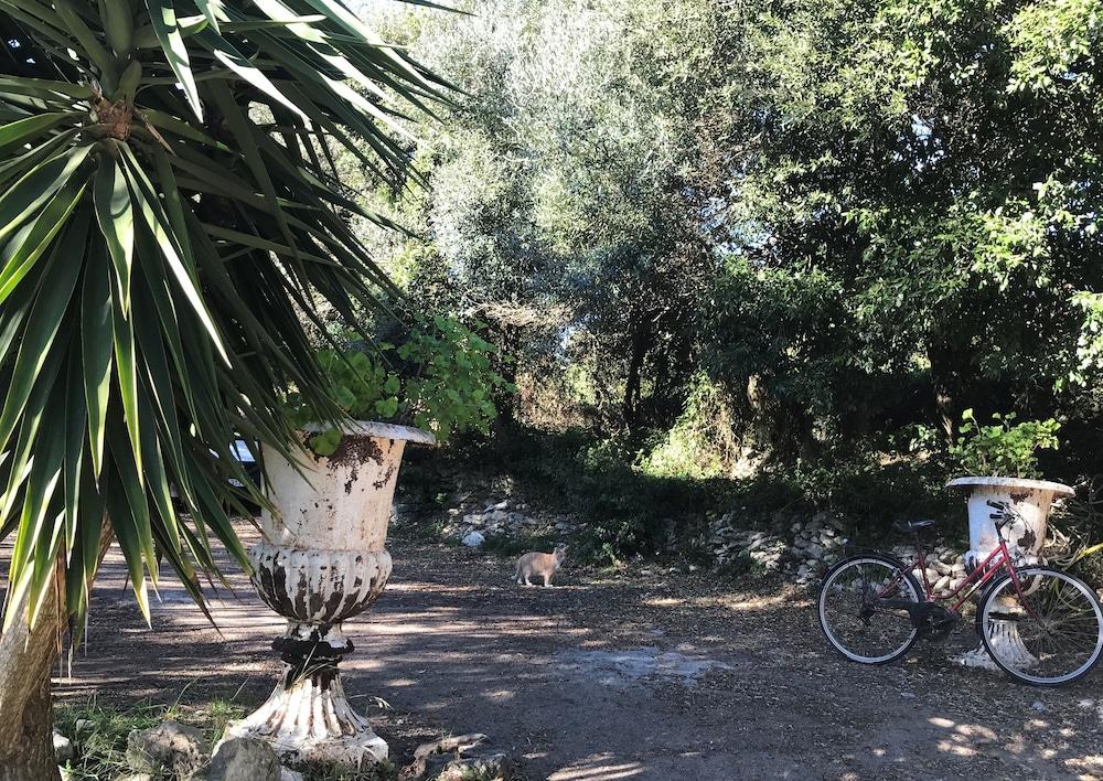 Résidence hôtelière A TRAMA Bonifacio  Esterno foto