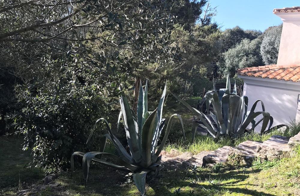 Résidence hôtelière A TRAMA Bonifacio  Esterno foto